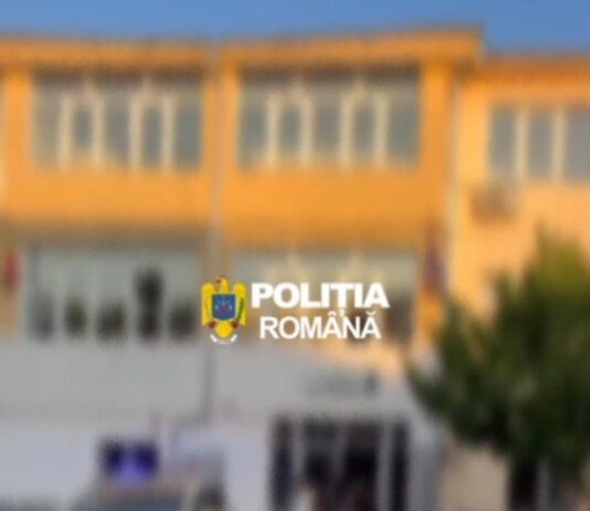 VIDEO: Frați monitorizați electronic, după furt