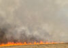 VIDEO: Incendiu de vegetație de amploare în Câmpu Mare. Circulația rutieră a fost oprită