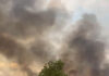 VIDEO: Sute de hectare de vegetație, afectate în urma incendiului de la Câmpu Mare