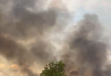 VIDEO: Sute de hectare de vegetație, afectate în urma incendiului de la Câmpu Mare