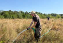 Eforturi pentru salvarea de la secetă a 3 hectare de plantație de pe malul Gilortului!