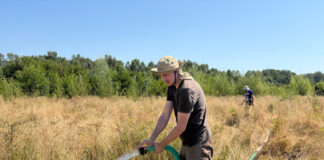 Eforturi pentru salvarea de la secetă a 3 hectare de plantație de pe malul Gilortului!