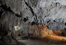 Milioane de euro pentru modernizarea Peșterii Muierilor