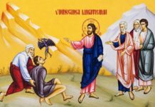 Viaţa Spirituală – Calea, Lumina, Adevărul şi Viaţa – Dumnezeu poate birui orice rău, pentru că a certat demonul care a ieșit din copilul vindecat, ceea ce înseamnă că noi suntem neputincioși în fața bolii aproape invizibile!
