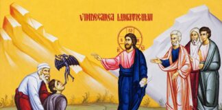Viaţa Spirituală – Calea, Lumina, Adevărul şi Viaţa – Dumnezeu poate birui orice rău, pentru că a certat demonul care a ieșit din copilul vindecat, ceea ce înseamnă că noi suntem neputincioși în fața bolii aproape invizibile!