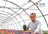 AFIR pregătește noi finanțări pentru fermieri