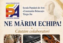 Școala Populară de Arte Târgu Jiu își mărește echipa