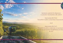 APIA: Bani pentru viticultori