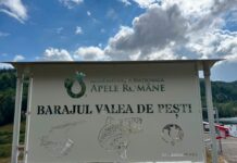 Barajul Valea de Pești, plin 100% cu apă