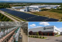Carmistin își dezvoltă afacerile în Gorj. Investiții în producție și energie verde