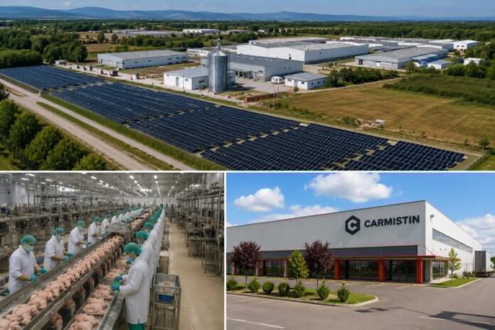 Carmistin își dezvoltă afacerile în Gorj. Investiții în producție și energie verde