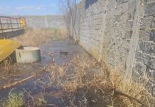 Poluare la Drăguțești. Un abator deversa mizeria direct pe sol