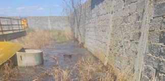 Poluare la Drăguțești. Un abator deversa mizeria direct pe sol