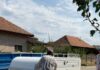 Comuna Borăscu: Campanie de sterilizare gratuită a câinilor cu stăpân