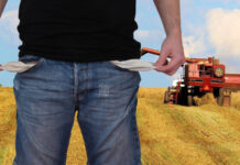 Agricultura pe înțelesul tuturor – Atenție fermieri, nu totdeauna culegeți ce semănați