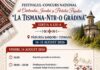 23 de concurenți, pregătiți pentru finala Festivalului „La Tismana-ntr-o grădină”