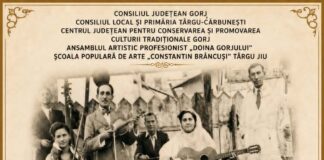 Festivalul „Gena Bârsan” revine la Târgu-Cărbunești