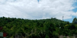 Sancțiune de 60.000 de lei pentru un colector de deșeuri din Bălești
