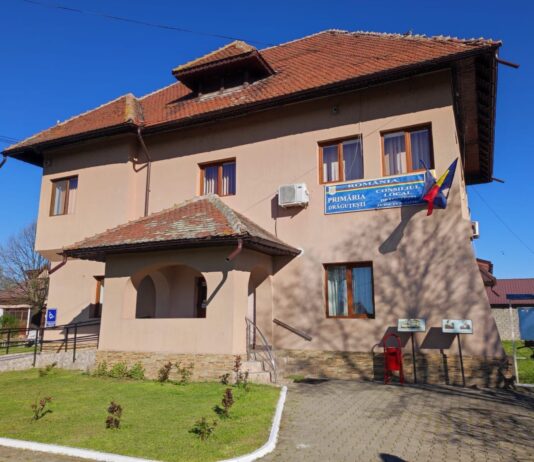Post vacant la o primărie din Gorj