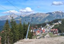 Drumul forestier care poate să devină o alternativă la Transalpina