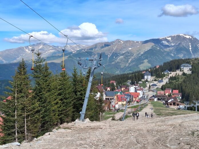 Drumul forestier care poate să devină o alternativă la Transalpina