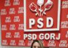 Încă o demisie în Consiliul Județean Gorj