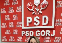 Încă o demisie în Consiliul Județean Gorj