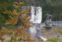 Nostalgii de toamnă – Remember „BRÂNCUȘIANA 1980”