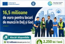 16,5 milioane de euro pentru locuri de muncă în Gorj și Dolj