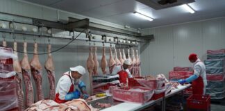 Trei investiții finanțate cu fonduri europene, verificate la Târgu Jiu