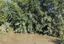 Poluare pe râul Motru, în zona Apa Neagră. Reprezentanții de la Apele Române Jiu au prelevat probe