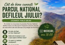 Ce se ascunde dincolo de peisajele din Defileul Jiului? Eveniment online despre pădurile, animalele și problemele parcului
