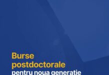 Burse postdoctorale de 4.000 de lei/lună
