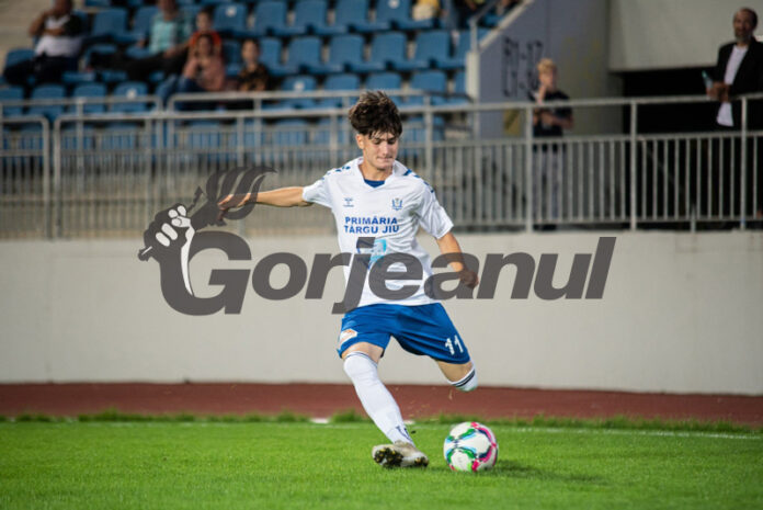 Albert-Cărămidaru