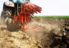 Agricultura pe înțelesul tuturor – Dacă toamna va fi timpurie și scurtă, cum punem bazele viitoarelor culturi?
