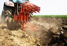 Agricultura pe înțelesul tuturor – Dacă toamna va fi timpurie și scurtă, cum punem bazele viitoarelor culturi?