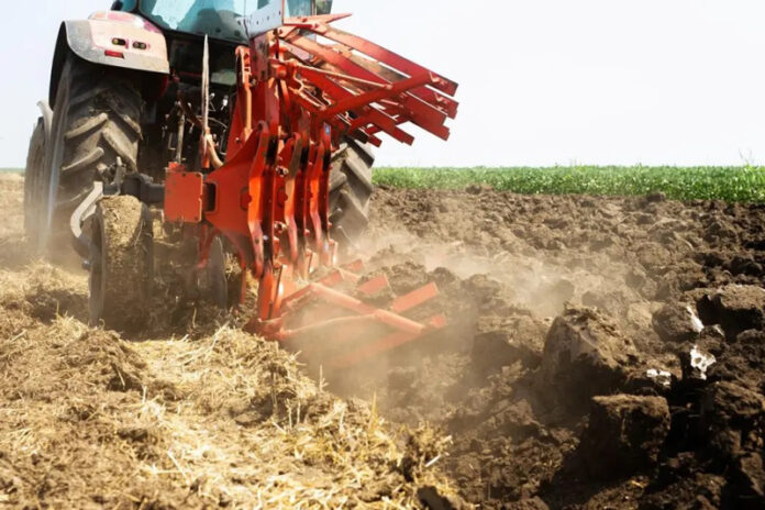 Agricultura pe înțelesul tuturor – Dacă toamna va fi timpurie și scurtă, cum punem bazele viitoarelor culturi?