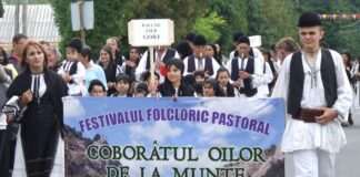 Repere autumnale – An de an, la mijloc de Răpciune – Coboară oile din munții Gorjului