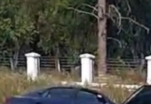 Un șofer și-a pierdut controlul volanului și s-a izbit de un cap de pod