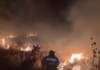 VIDEO Incendiu de vegetație în comuna Samarinești