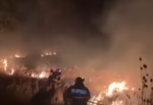 VIDEO Incendiu de vegetație în comuna Samarinești