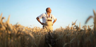 Agricultura pe înțelesul tuturor – Calendarul lucrărilor agricole în luna septembrie