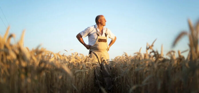 Agricultura pe înțelesul tuturor – Calendarul lucrărilor agricole în luna septembrie