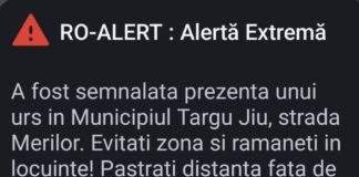Urs pe o stradă din Târgu Jiu. Avertizare RO Alert