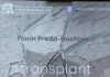 Transplantul de infinit al lui Florin Preda-Dochinoiu – o lecţie de hermeneutică aplicată pe exerciţii de permanenţă