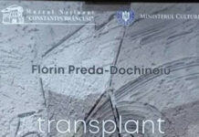 Transplantul de infinit al lui Florin Preda-Dochinoiu – o lecţie de hermeneutică aplicată pe exerciţii de permanenţă