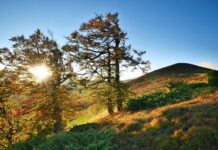 Un nou ghid îi apropie pe elevi de natură: „Școala din natură – Defileul Jiului”, instrument pentru profesorii din Gorj