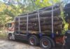 Transport de 15 metri cubi de lemn fără acte, oprit de polițiști în Gorj. Autoutilitara și marfa au fost confiscate
