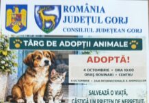 Rovinari: Mare târg de adopții organizat de Protecția Animalelor