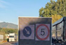 Gorj: Au început anchetele în trafic